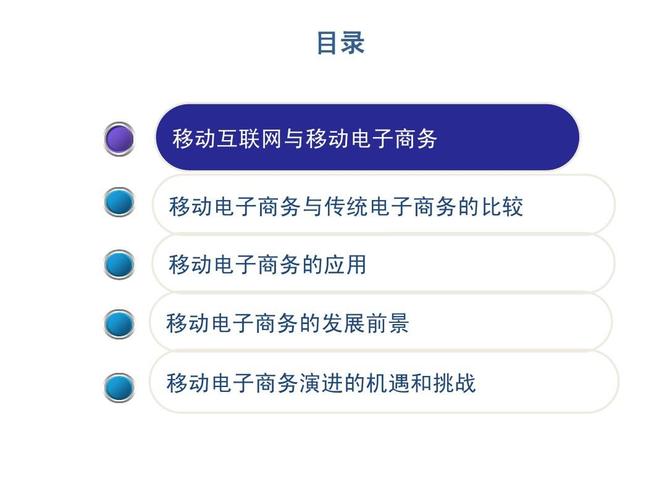 移动互联网与移动电子商务 研发与维护的核心驱动力